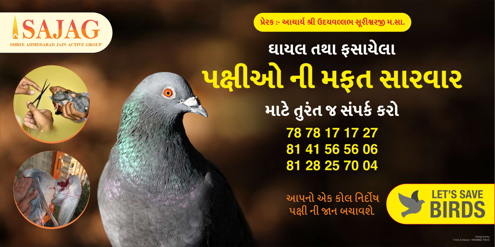 Save Bird Sajag